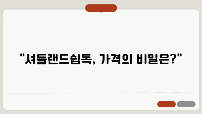 셔틀랜드쉽독 분양가격 알아보기