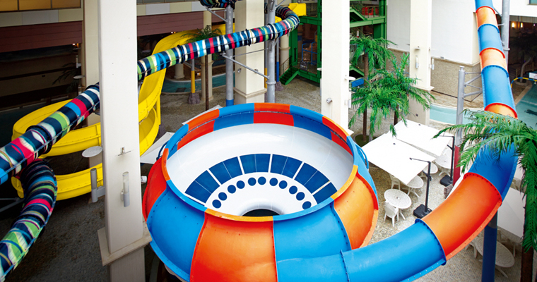 제브라 슬라이드. 스페이스볼