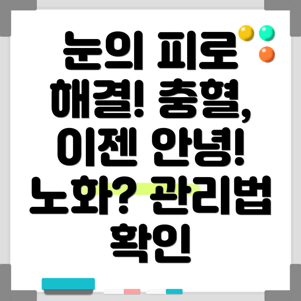 눈의 피로