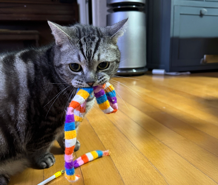 장난감 종류별 장단점 비교