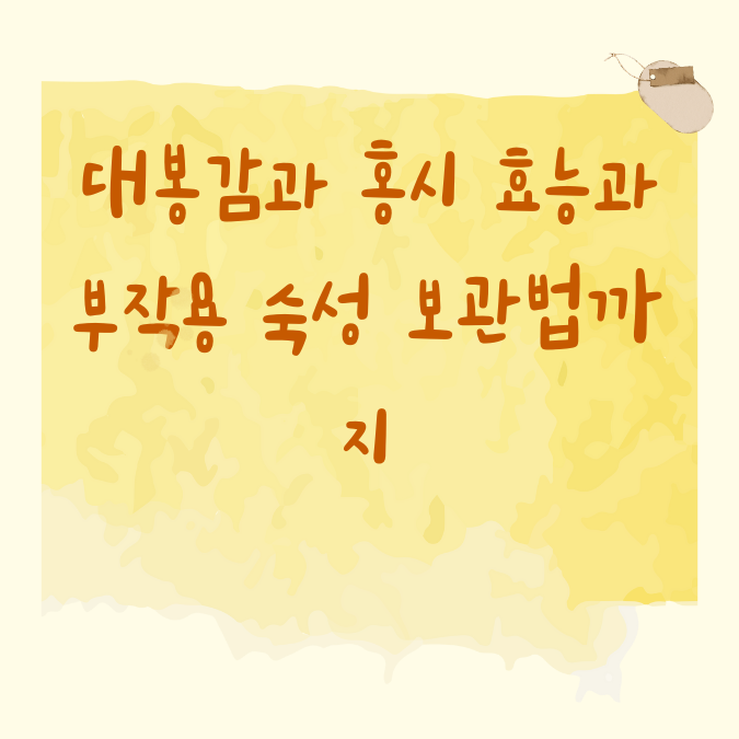 대봉감과 홍시 효능과 부작용 숙성 보관법까지