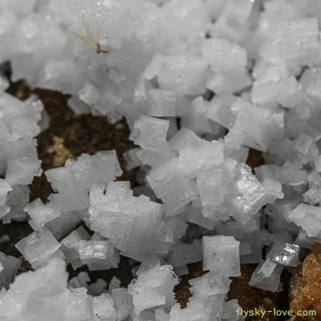 천일염 고르는 법