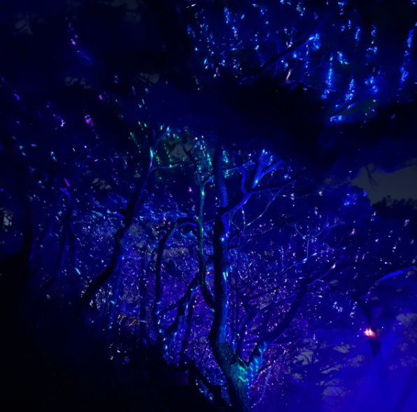 6시내고향 미술관 아귀찜 케이블카 경남 통영 문화 미식여행