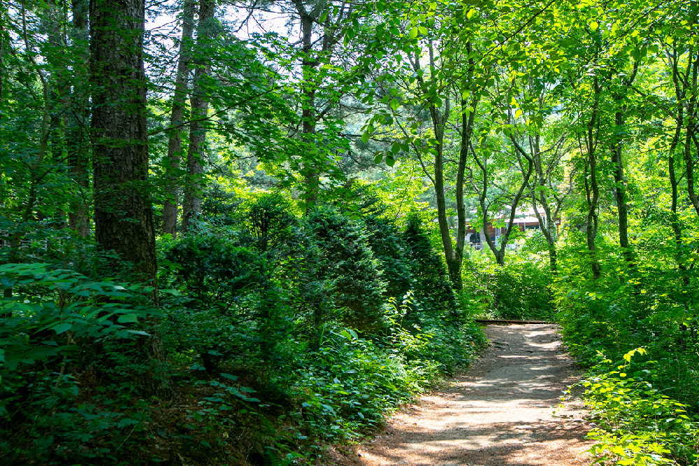양평 가볼만한곳