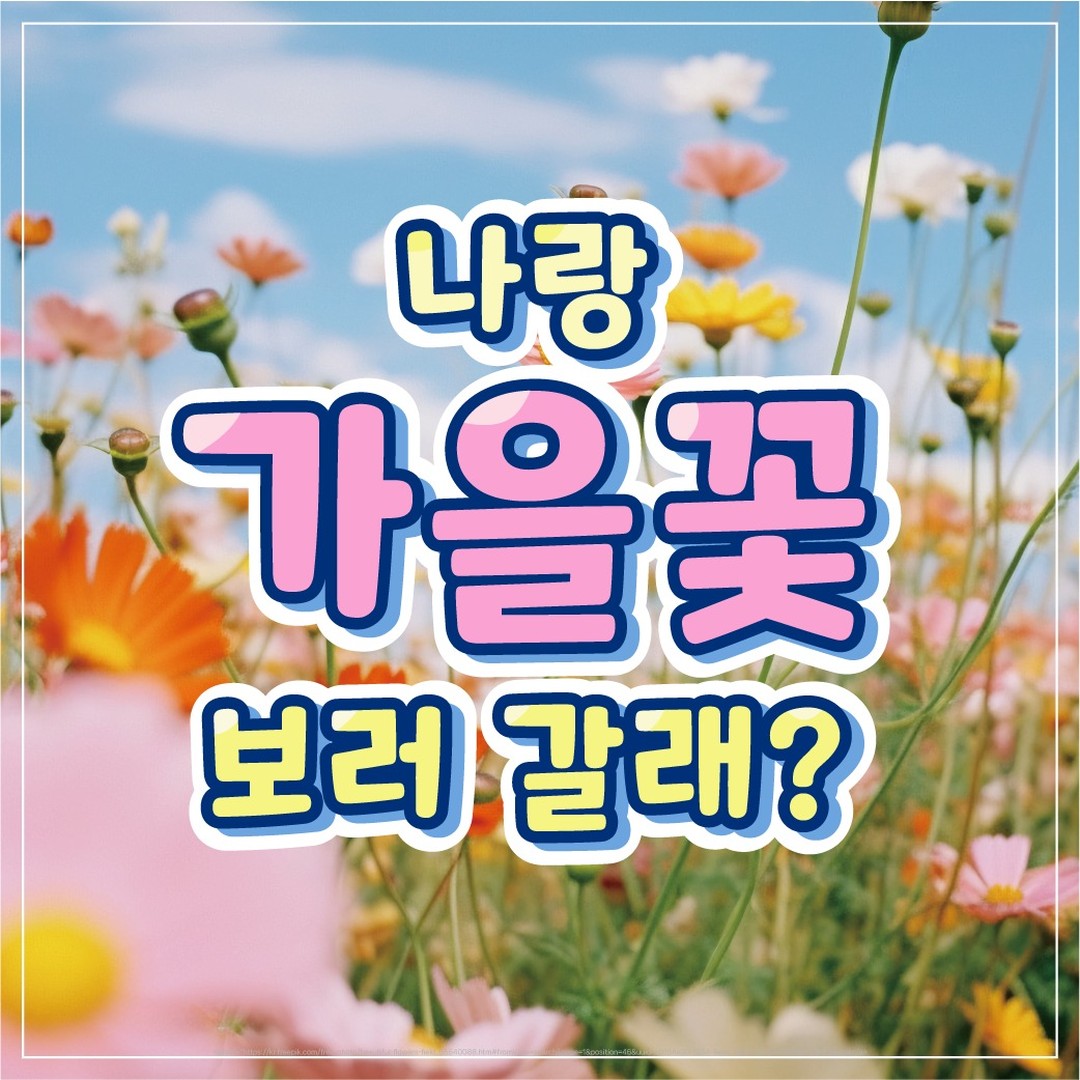 축제 개요 및 주제