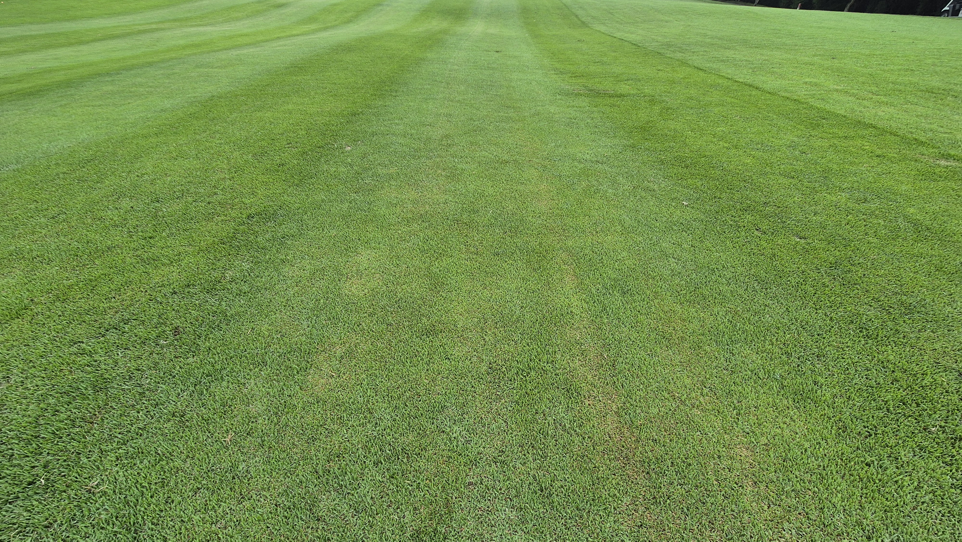 뉴스프링빌cc 라운드 후기