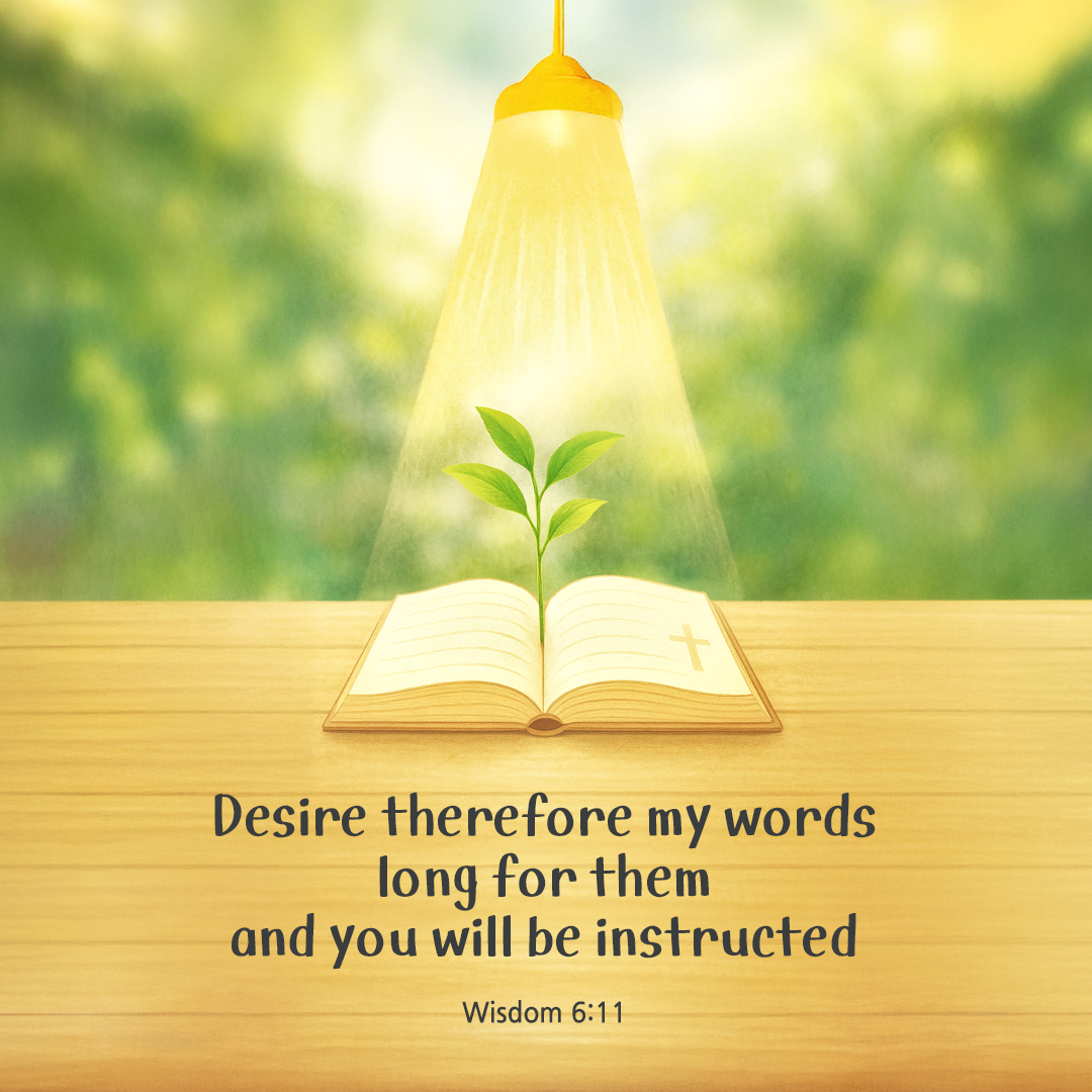 Desire therefore my words, long for them and you will be instructed. (Wisdom 6:11) by pieonane Daily Bible quote image