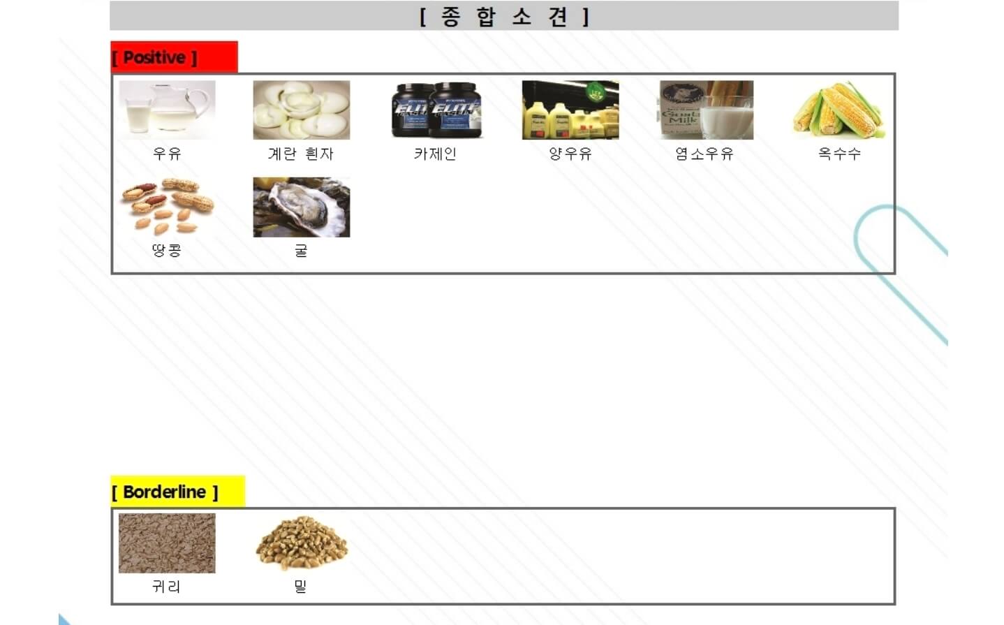 나의 지연성 알러지 반응 검사 결과