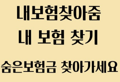 내보험찾아줌