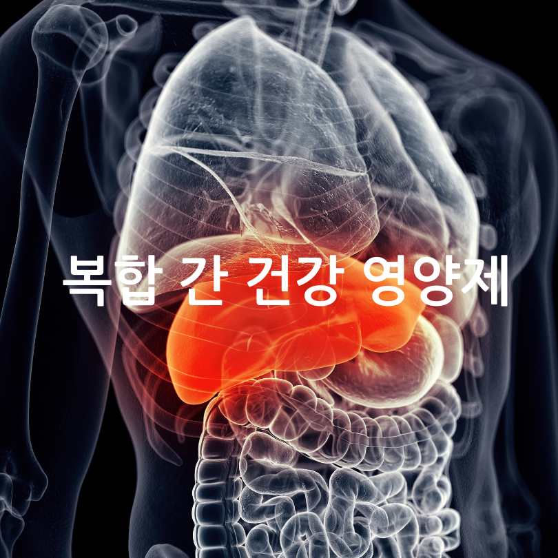 지방간에 좋은 영양제 추천 TOP 5