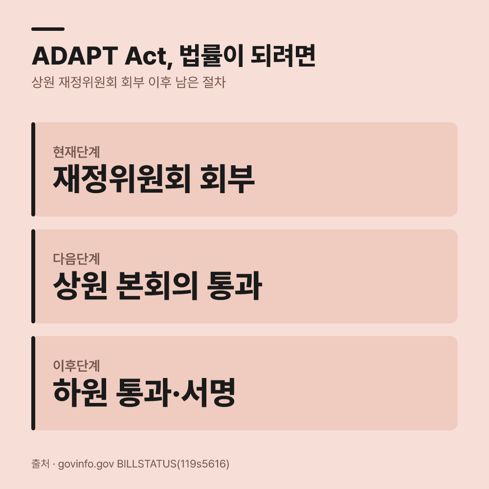 적용 시기 전망과 입법 절차상의 변수