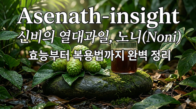 신비의 열대과일 노니 효능과 부작용: 건강한 복용 가이드 🌿