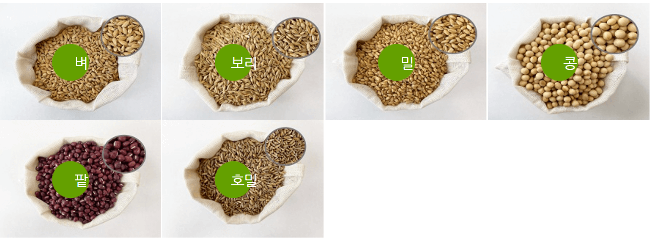 정부보급종