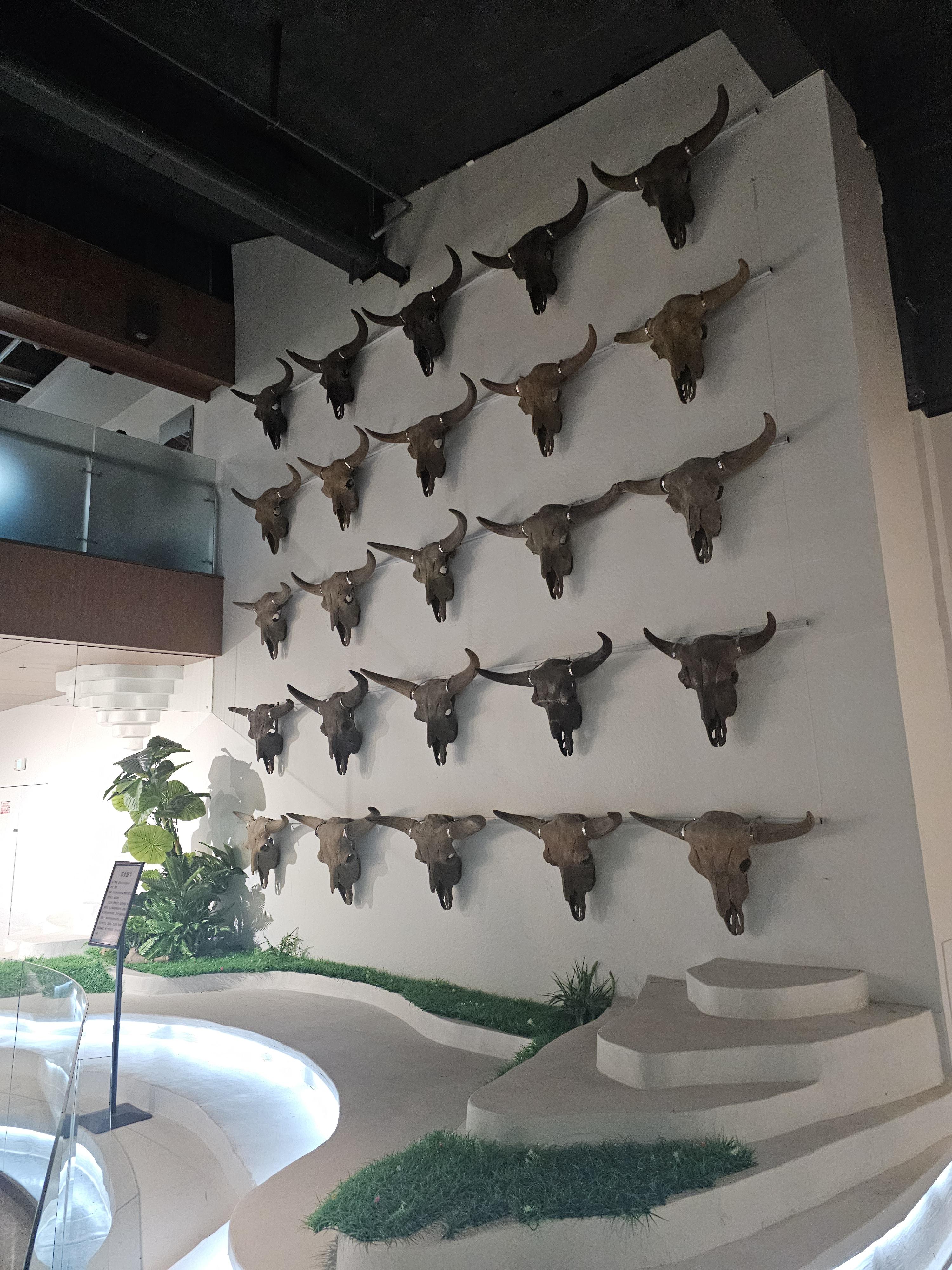 장백산 매머드 테마파크