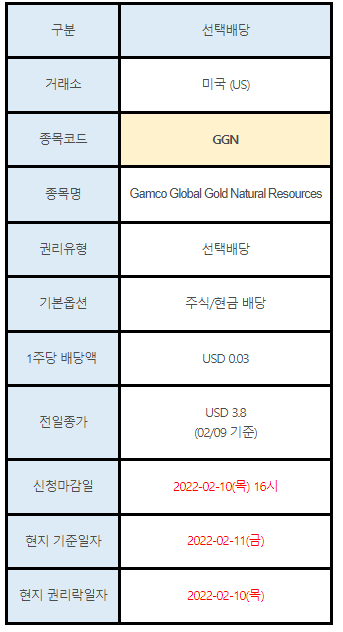 미국주식 선택배당 안내 GGN
