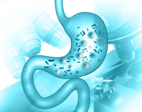 위축성 위염 증상, 원인, 치료 총정리