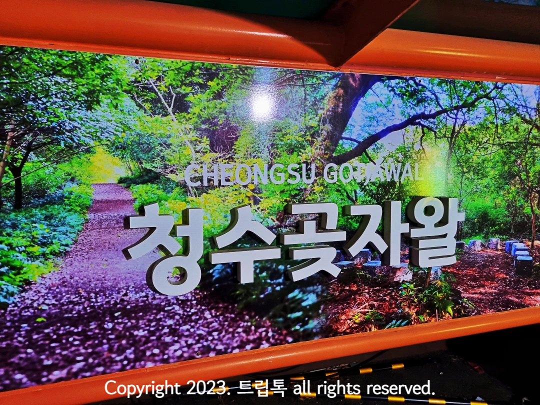 푸른 숲과 갈래길이 있는 사진 가운에 청수곶자왈이라고 써있는 간판이다.