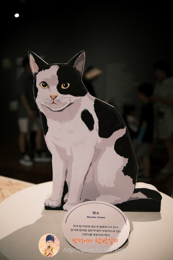 귀엽고 요망한 고양이