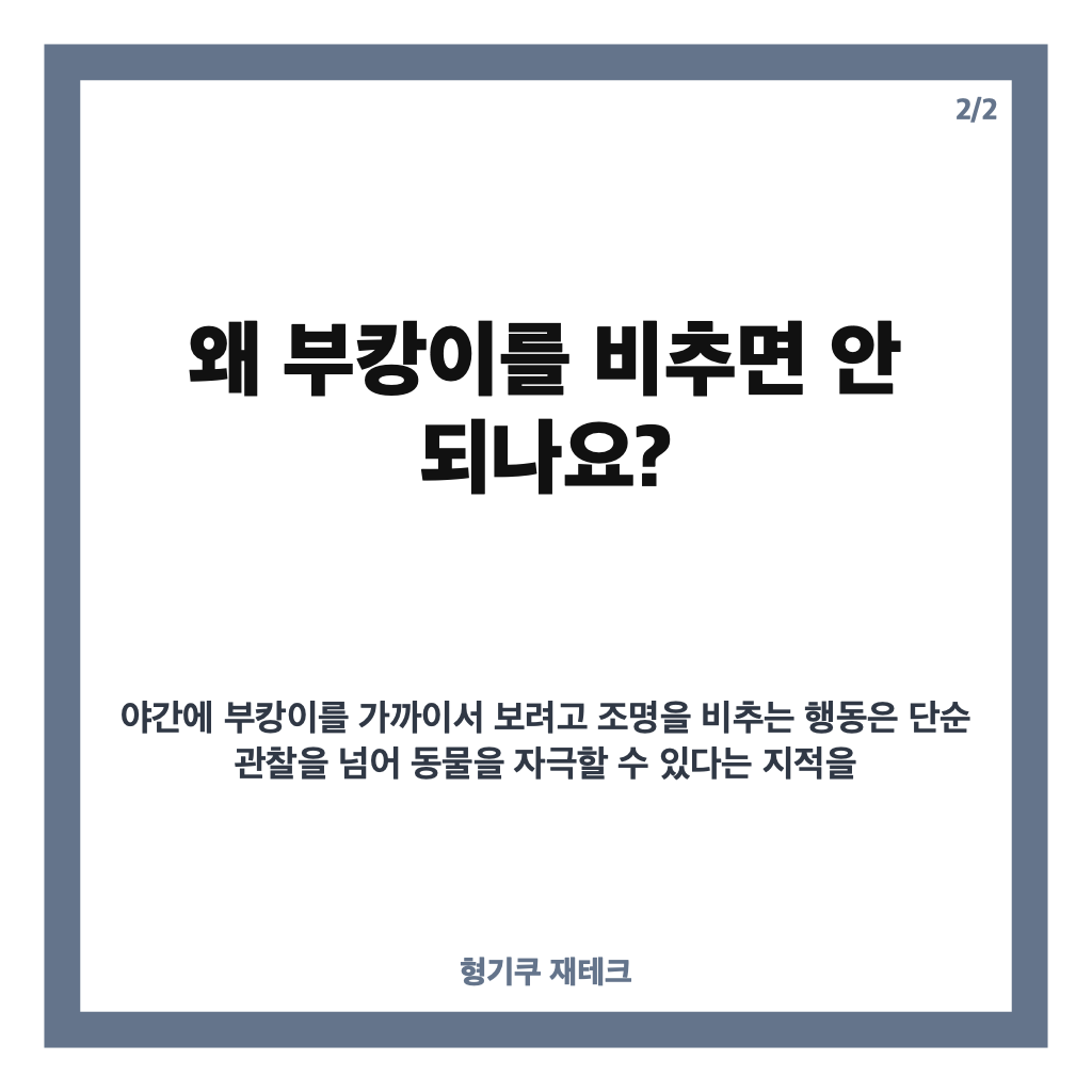 부캉이 괴롭히지 마세요, 야간 손전등&middot;랜턴 논란과 관찰 현황 카드뉴스 3