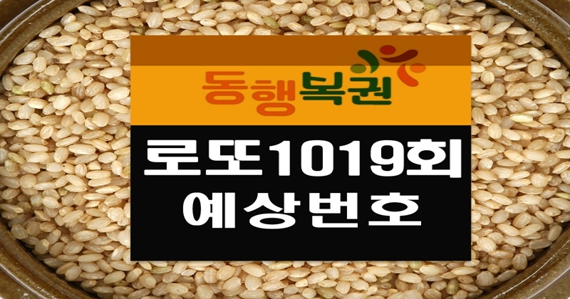 로또1019회예상번호