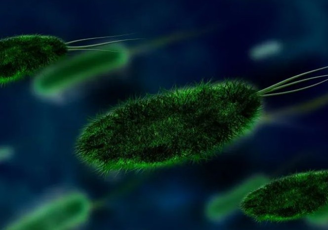 생리 냄새가 지독해요