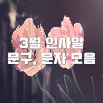 3월 인사말 모음 예시 문자_21