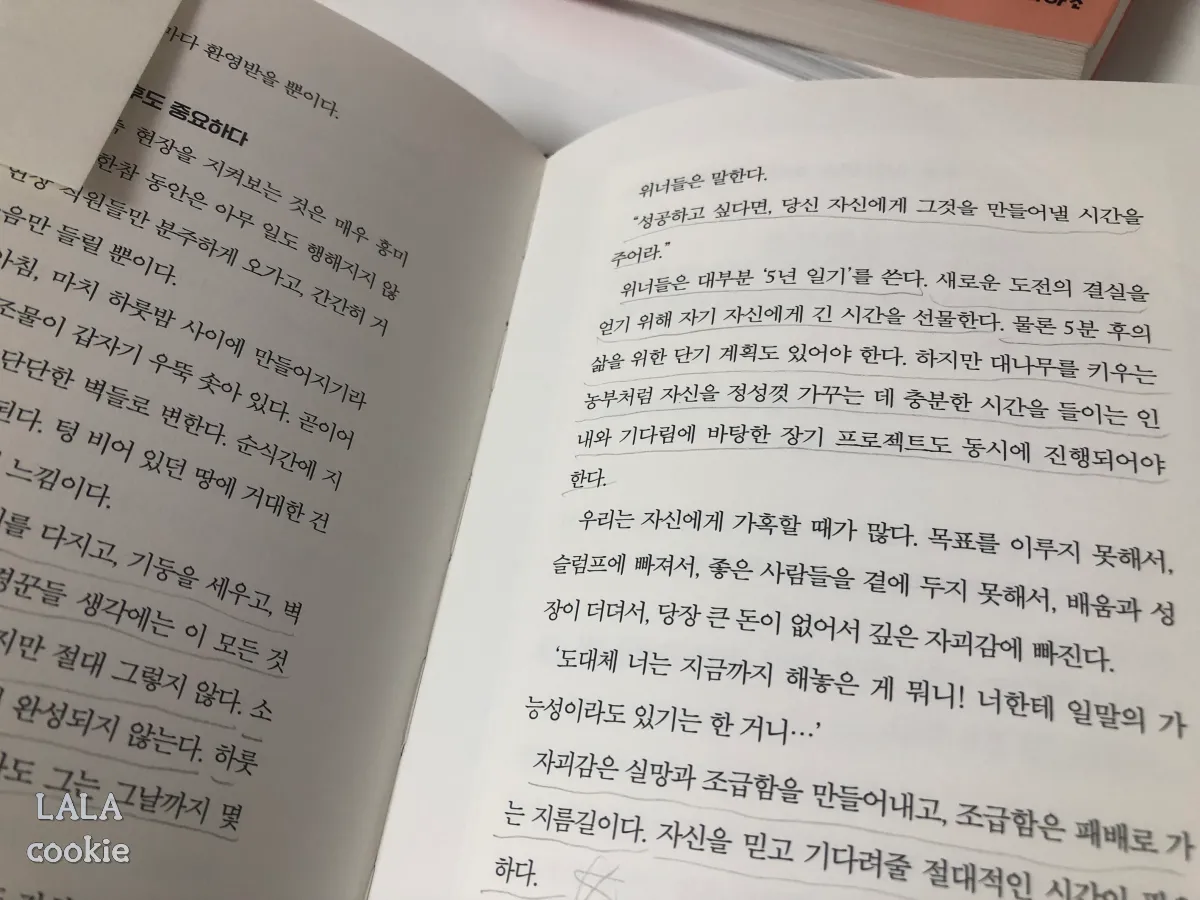 자기계발서-추천-베스트셀러-보도셰퍼의-이기는-습관-책-내용-p.249