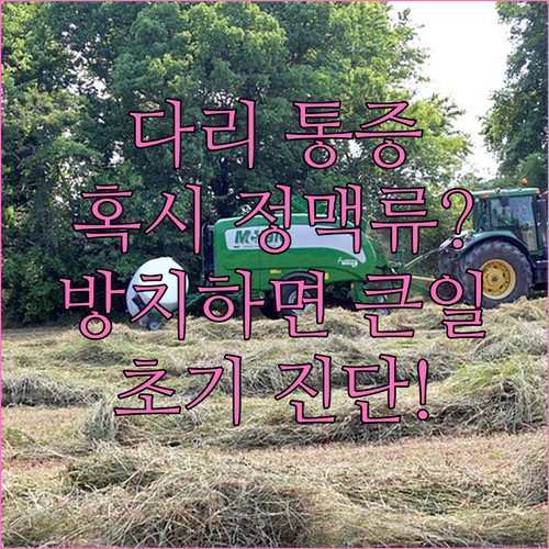 다리 통증 무시 마세요! 정맥류 신호