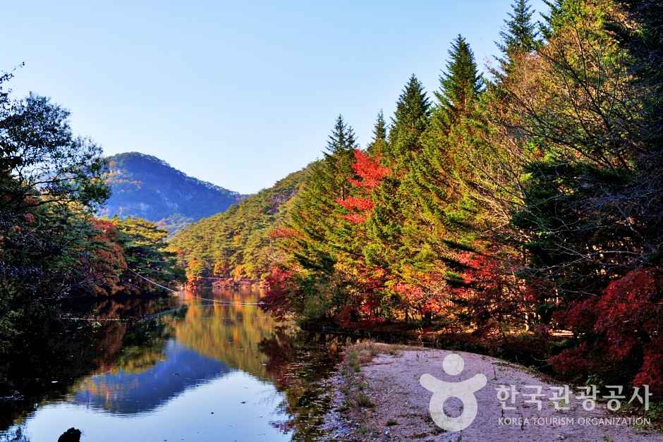 세조길