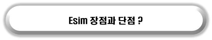 아이폰 esim의 장점과 단점을 알아보자