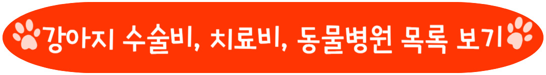 강아지 수술비 치료비 동물병원 목록
