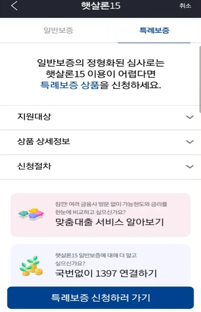 특례보증