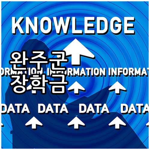 놓치면 손해! 2025 완주군 애향장..