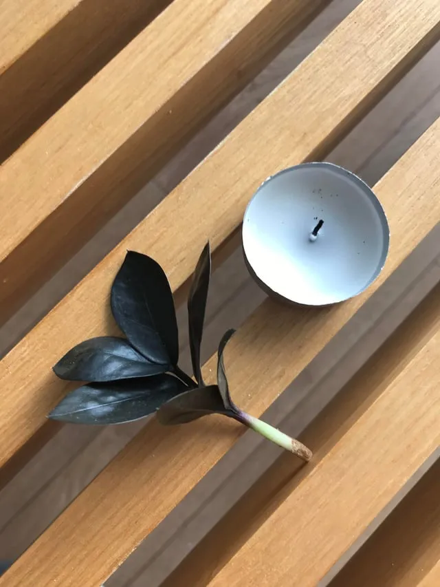 펄라이트 흙 배합 통기성향상 과습방지 실내식물 건강 업그레이드_5