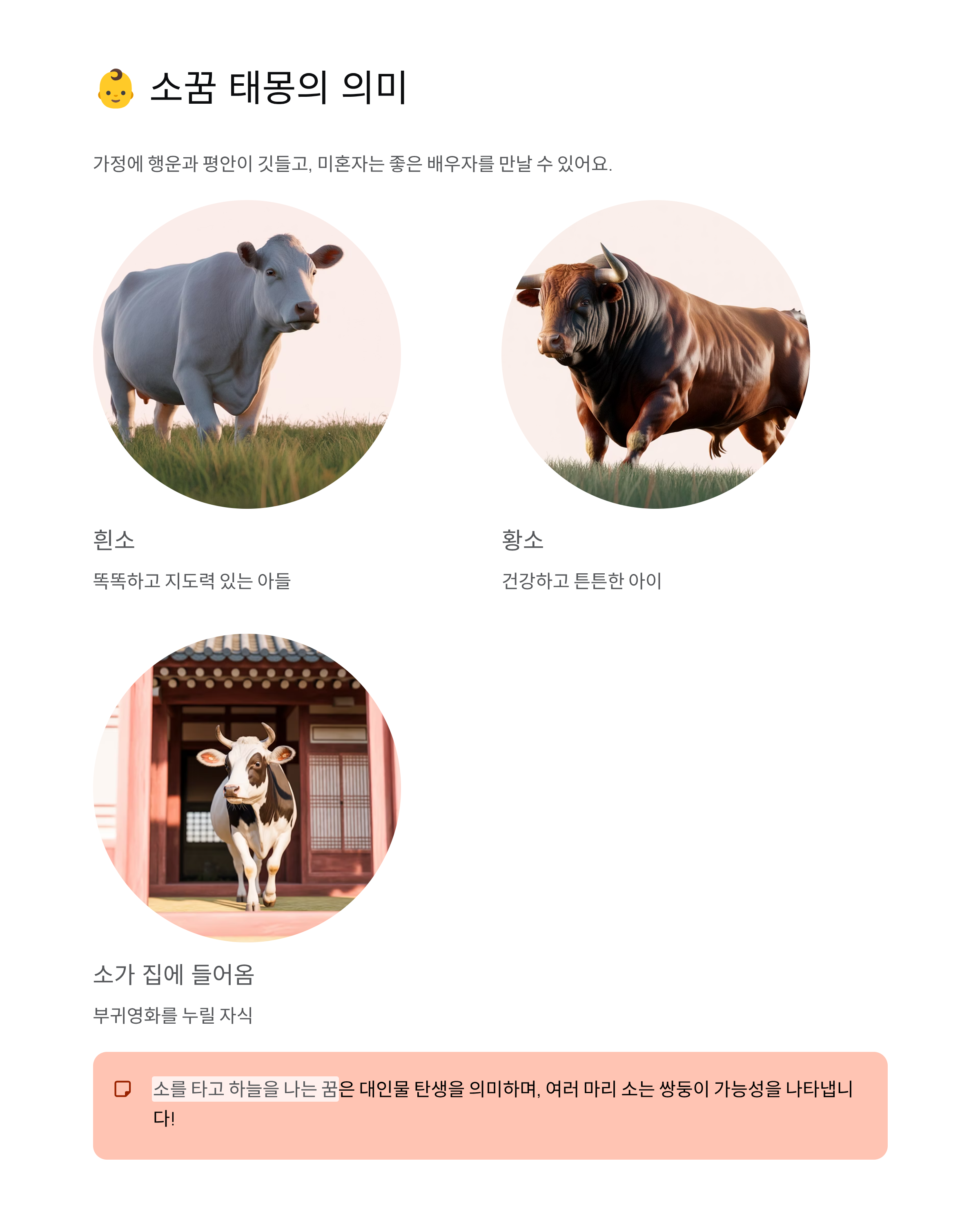 소꿈 해몽 완벽 정리 - 로또 당첨? 재물운? 태몽까지!