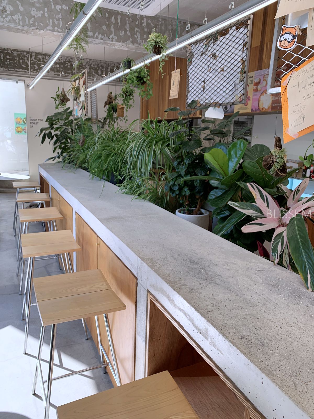 삼각지-카페-파이샵-파이가게-디저트맛집-파이인더샵-식물원-식물