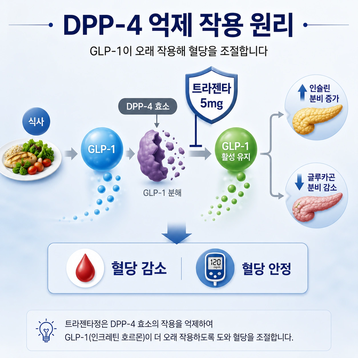 02_DPP4_억제_작용원리