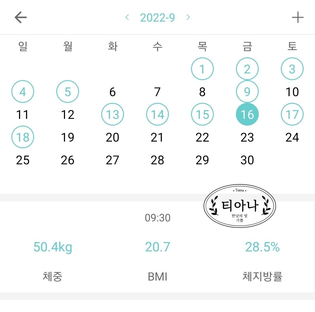 일반식으로 근력키우기 다이어트 기록
