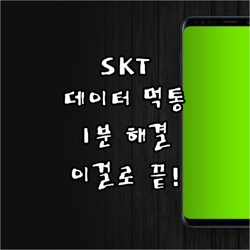 SKT 데이터 접속 불량 해결 총정리..