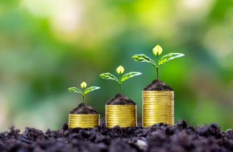 파이코인 전망 몰랐다면 손해! 채굴 방법과 투자 전략