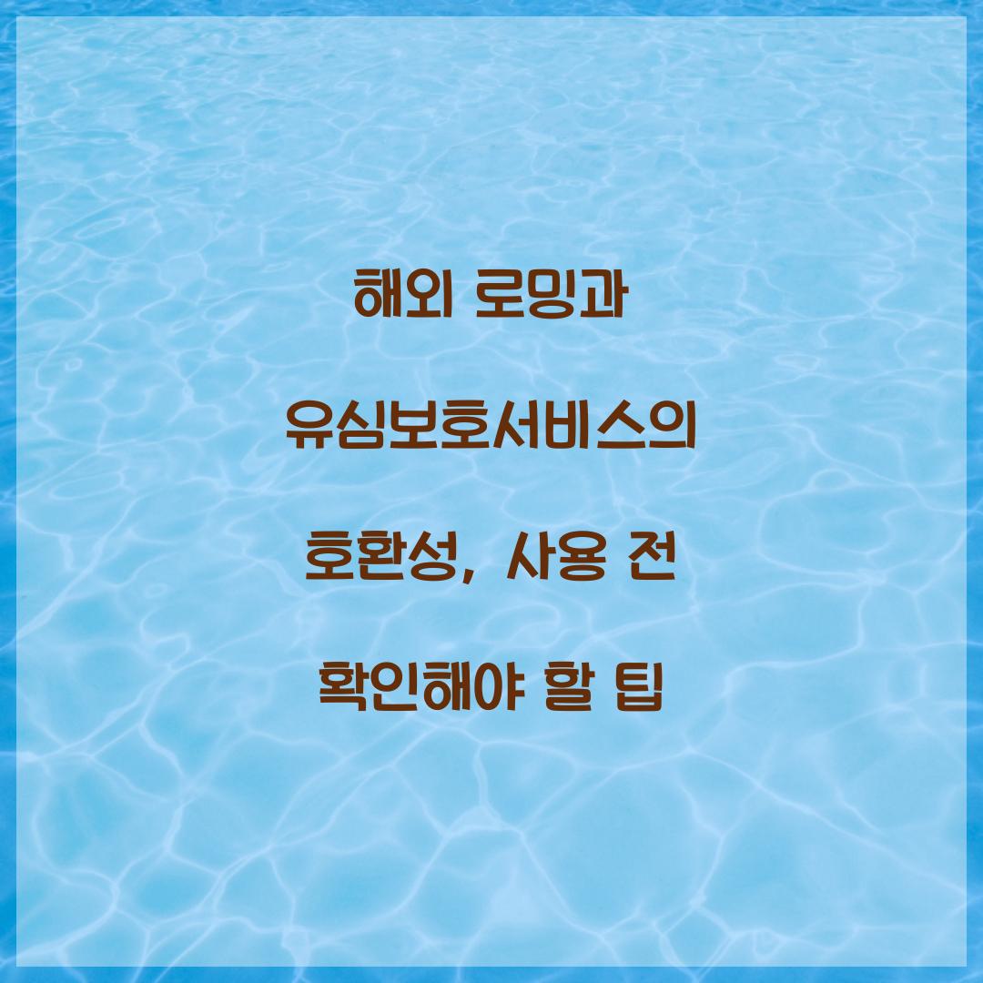 해외 로밍과 유심보호서비스의 호환성