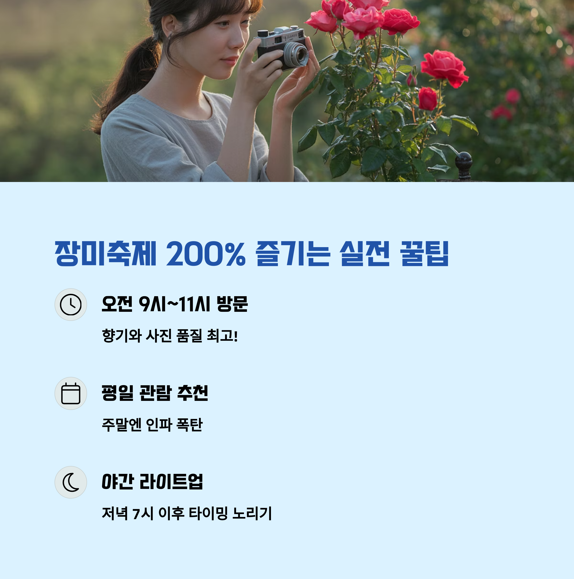 장미축제 200% 즐기는 실전 꿀팁