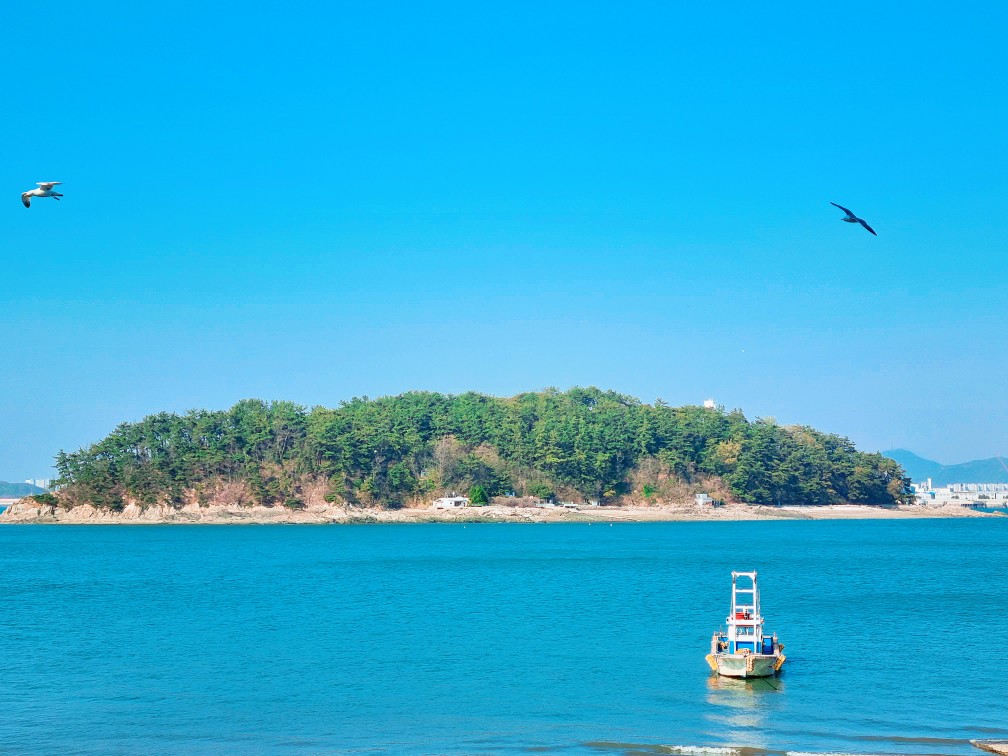 인천 영종도가볼만한 곳: 구읍뱃터 영종진 공원의 해안 산책로, 숲 산책로