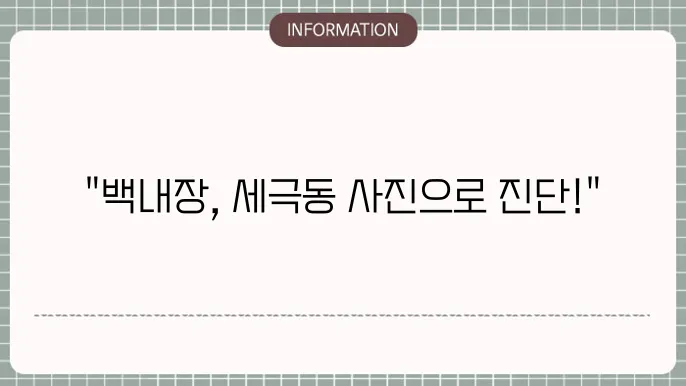 혼탁도 평가 방법