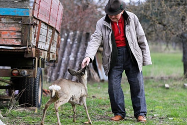 요양보호사-자격증-취득방법