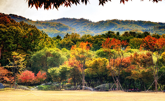 수원·용인 단풍 명소 BEST 5 : 광교호수공원·수원화성·용인민속촌·에버랜드·용인자연휴양림