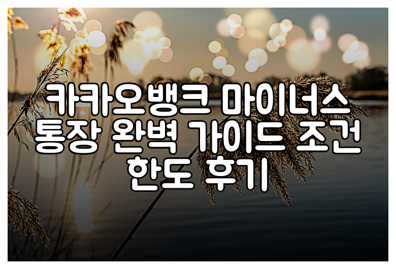 카카오뱅크 마이너스 통장 완벽 가이드 조건 한도 후기