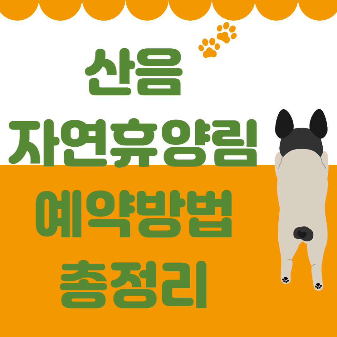 산음자연휴양림 예약방법 총정리