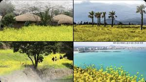 🎬 넷플릭스 화제작 