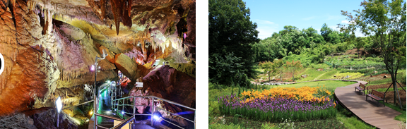 천곡동굴-자연체험공원